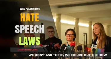 Exploring Hate Speech Legislation in Poland: A Comprehensive Overview