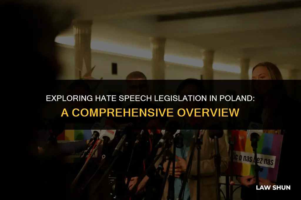 does poland have hate speech laws