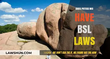 Understanding Potosi, MO's BSL Laws: A Comprehensive Guide