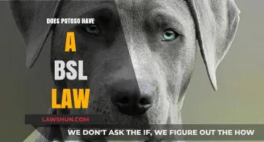 Understanding Potoso's BSL Law: A Comprehensive Guide