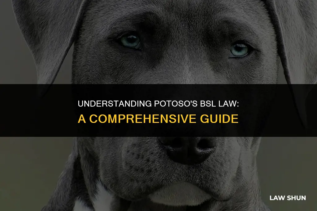 does potoso have a bsl law