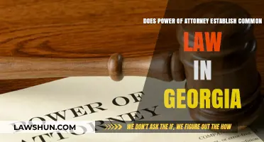 Power of Attorney: Common Law Impact in Georgia