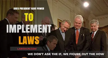 Can the President Enforce Laws? Exploring Executive Power Limits