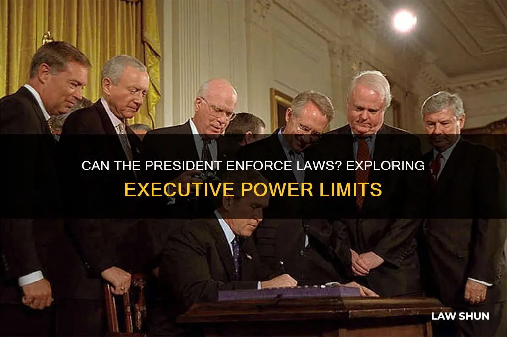 does president have power to implement laws
