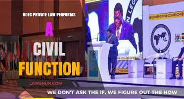 Private Law's Role: Does It Serve a Civil Function?