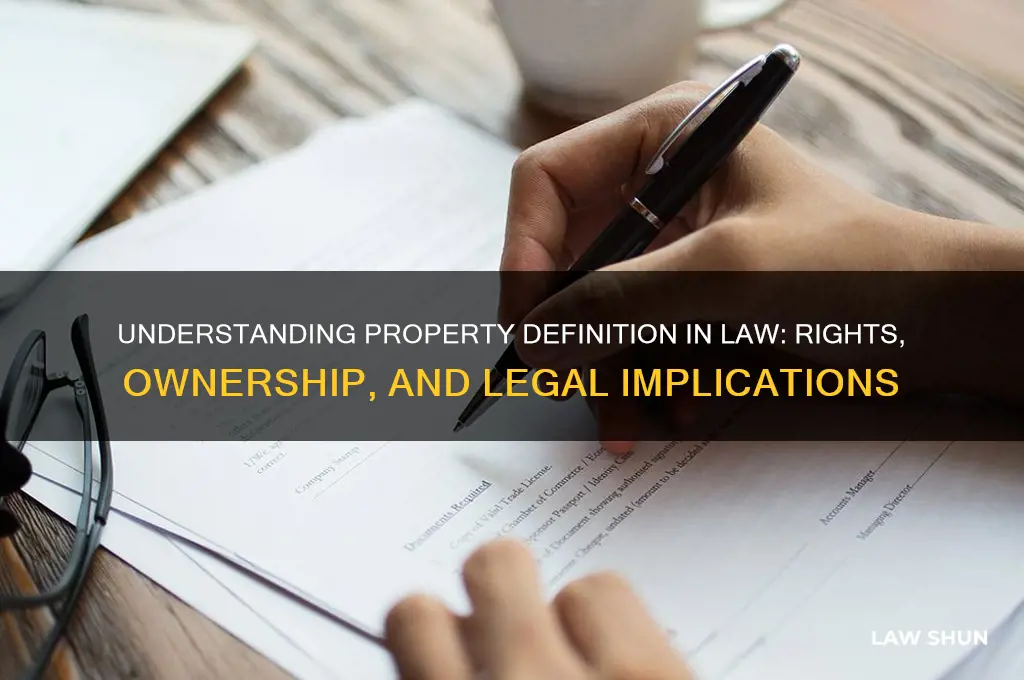 does property definition in law