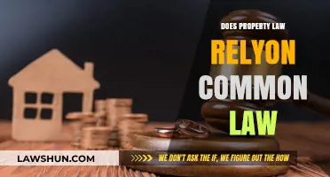 Property Law: Common Law's Foundation