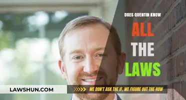 Decoding Quentin's Legal Knowledge: An In-Depth Analysis