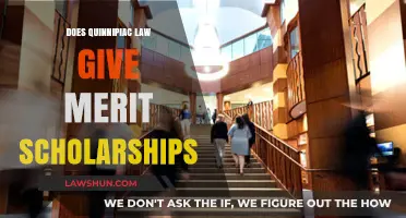 Unlocking Opportunities: Quinnipiac Law's Merit Scholarship Insights