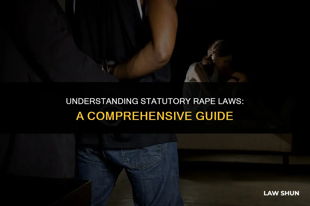 does rape have a stagtory law