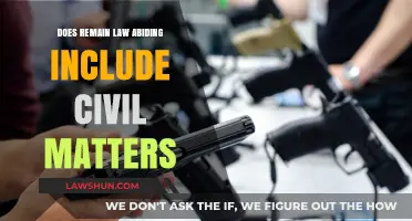 Does Law-Abiding Encompass Civil Disputes? Exploring Legal Boundaries