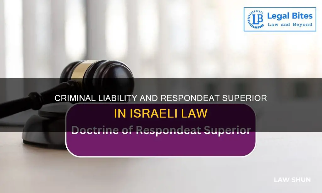 does respondeat superior apply in criminal law israel