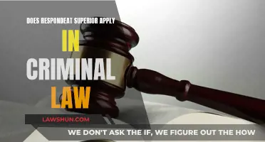 Does the Doctrine of Respondeat Superior Extend to Criminal Law?