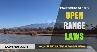 Exploring Open Range Laws in Rio Grande County: What You Need to Know