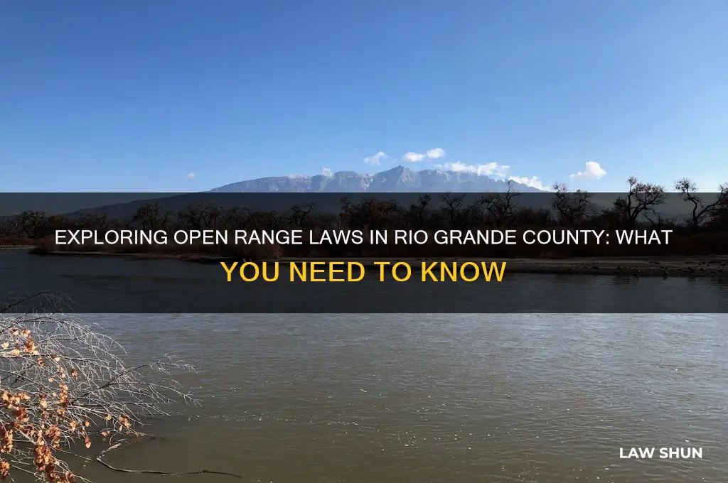 does riogrande county have open range laws