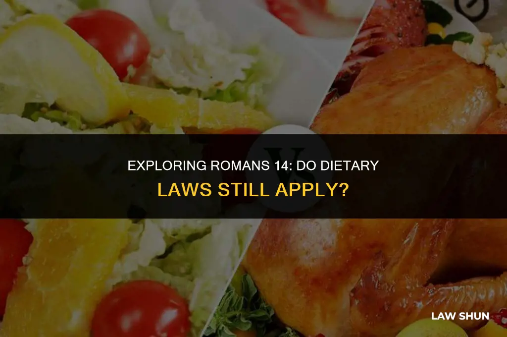 does romans 14 eliminate dietary laws