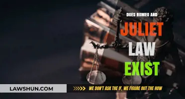 Exploring the Legal Landscape: Does Romeo and Juliet Law Exist?