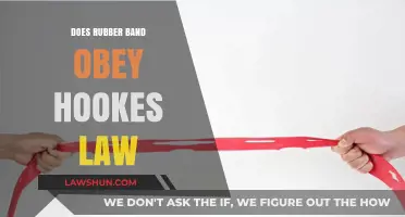 Exploring Elasticity: Does a Rubber Band Follow Hooke's Law?