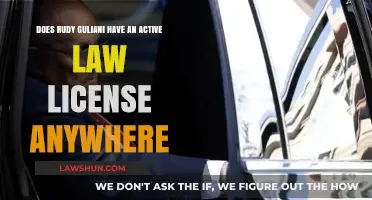 Rudy Giuliani's Law Licenses: Where Are They Now?