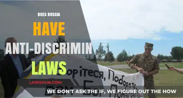 Russia's Anti-Discrimination Laws: Do They Exist?