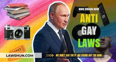 Russia's Anti-Gay Laws: Discrimination and Persecution