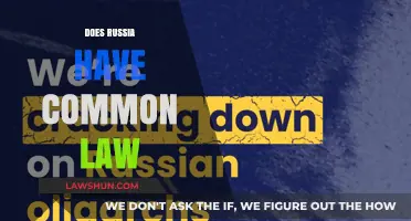 Russia's Legal System: Common or Civil Law?