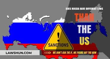 Laws in Russia and the US: What's the Difference?