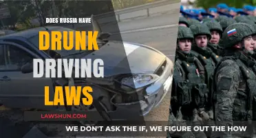 Exploring Russia's Drunk Driving Laws: Myths, Facts, and Consequences