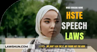 Exploring Russia's Stance on Hate Speech Legislation