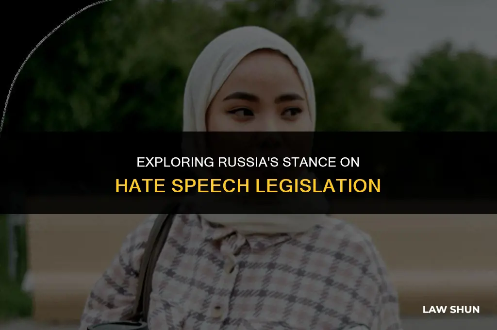 does russia have hste speech laws