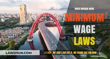 Exploring Russia's Wage Laws: Does a Minimum Wage Exist?