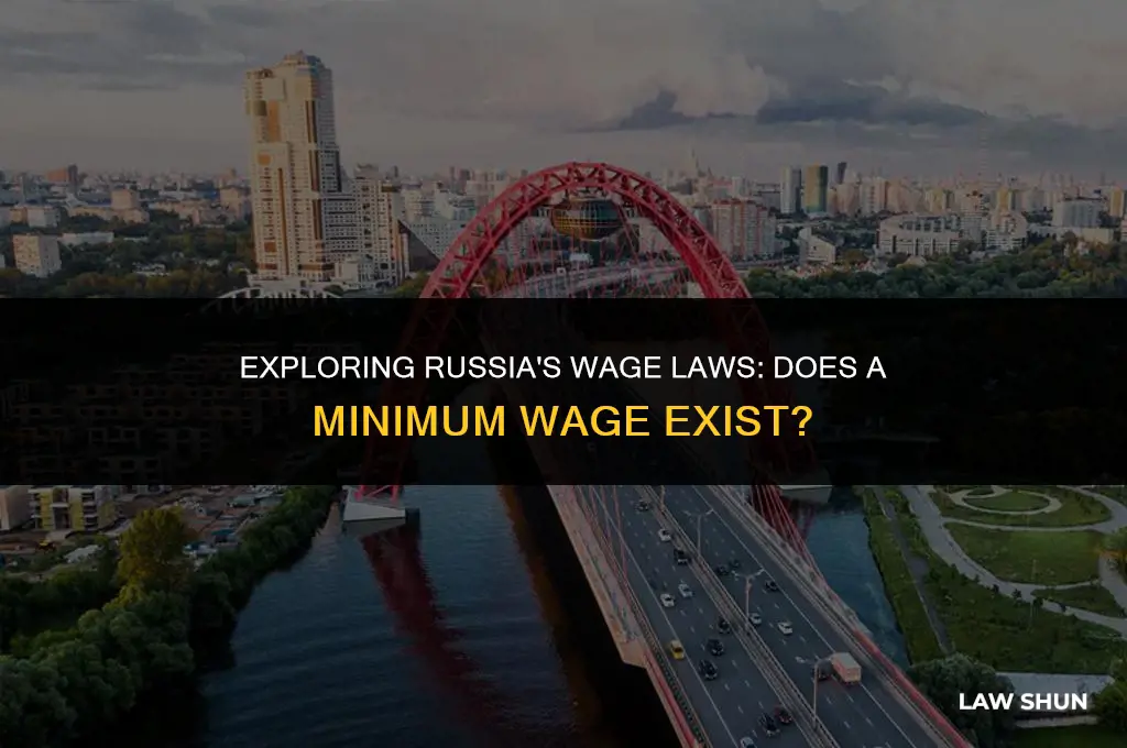 does russia have minimum wage laws