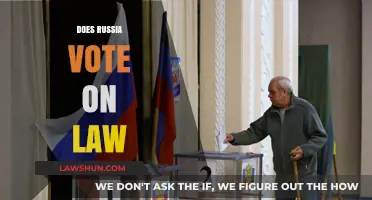 How Does Russia's Legislative Voting Process Shape Its Laws?