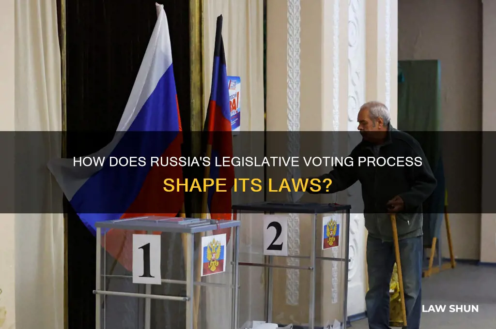 does russia vote on law