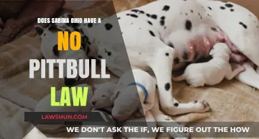 Sabina, Ohio: Understanding Local Pitbull Ownership Regulations and Restrictions