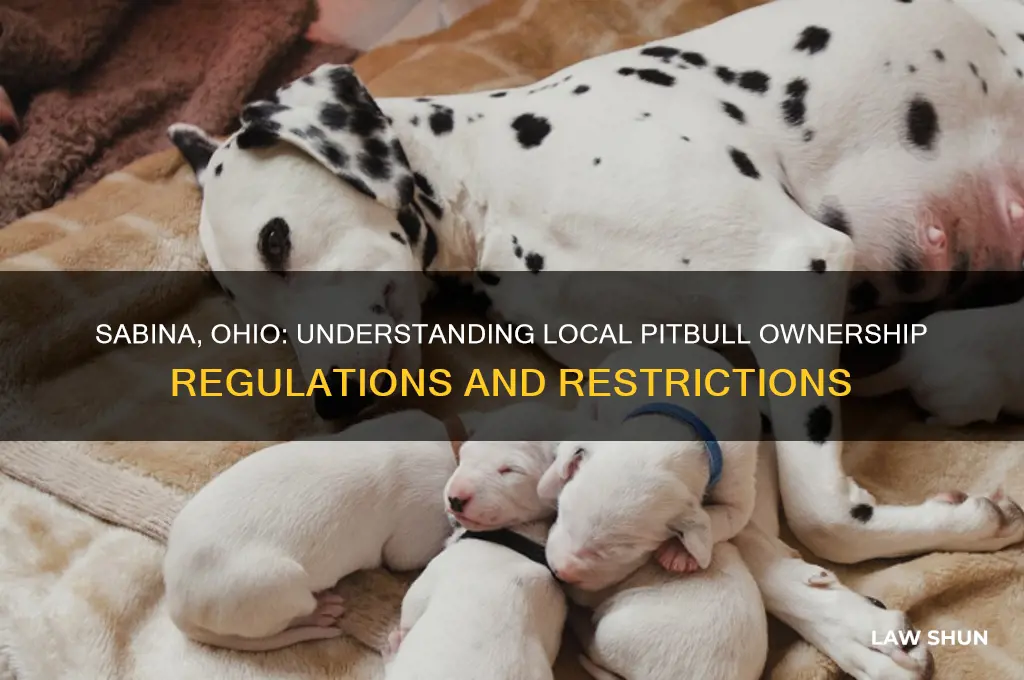 does sabina ohio have a no pittbull law