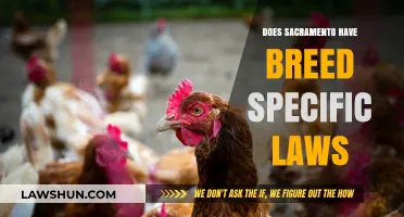 Exploring Sacramento's Breed-Specific Legislation: A Comprehensive Guide