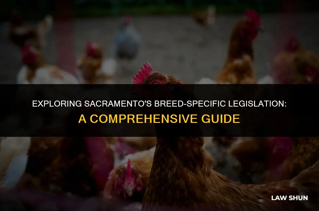 does sacramento have breed specific laws