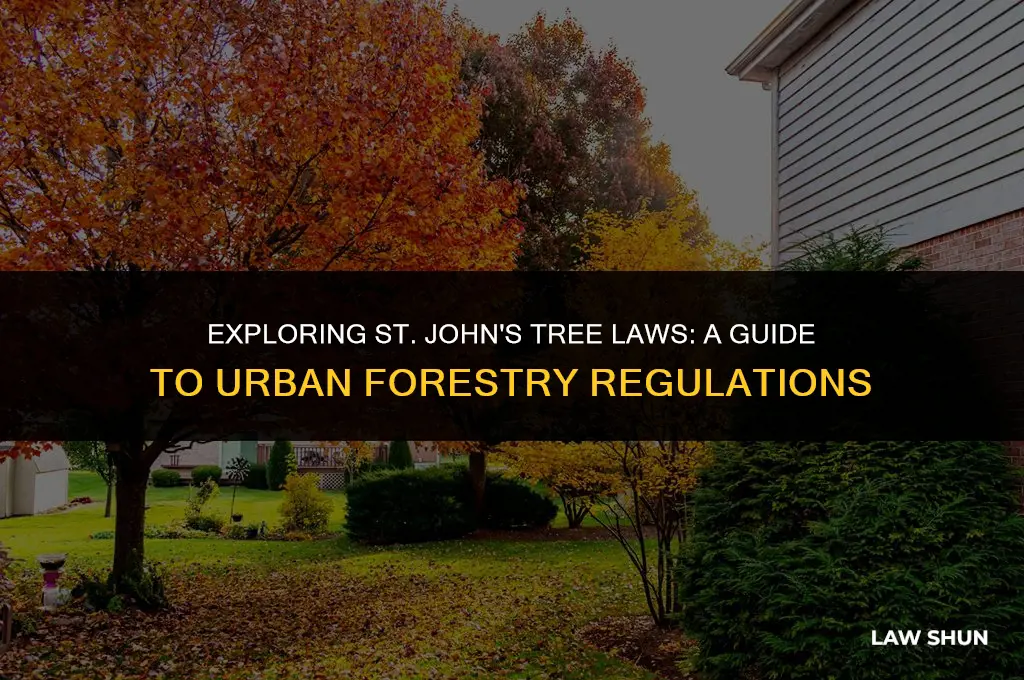 does saint john mo tree laws