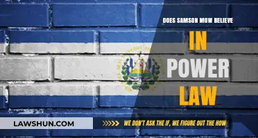 Samson Mow's Perspective on Power Law: Beliefs and Implications