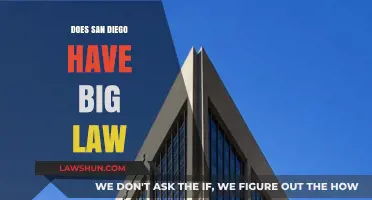 Exploring San Diego's Legal Landscape: Home to Big Law Firms?