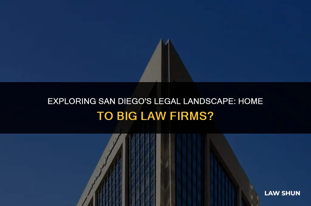 does san diego have big law