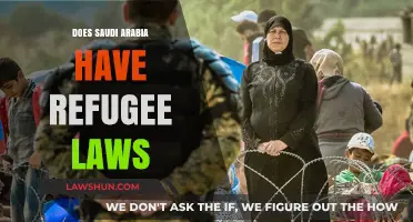 Examining Saudi Arabia's Refugee Laws: A Comprehensive Overview