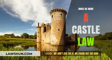 Exploring South Carolina's Castle Law: Myths, Facts, and Implications