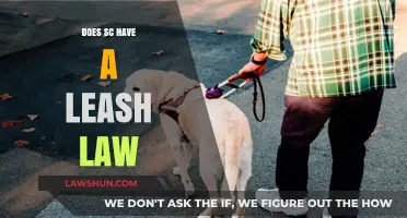 Exploring South Carolina's Leash Laws: What You Need to Know