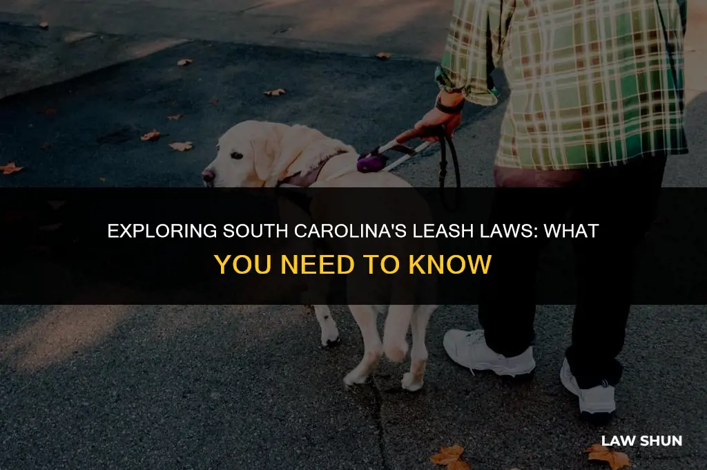 does sc have a leash law