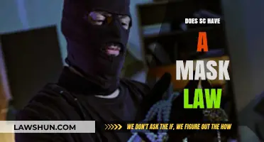 Exploring South Carolina's Mask Law: What You Need to Know