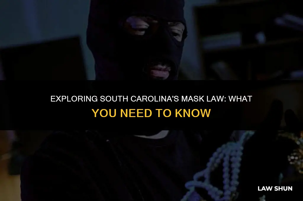does sc have a mask law