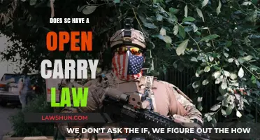 Understanding South Carolina's Open Carry Law: What You Need to Know