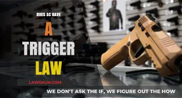 Exploring South Carolina's Legal Landscape: The Trigger Law Debate